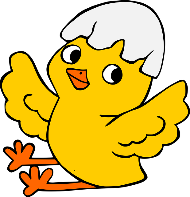 chicken-g496c6c5ea_640
